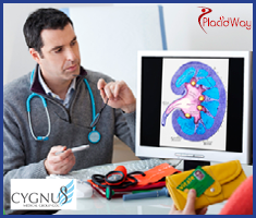 Slider image (4) CYGNUS